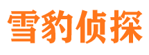 榕江侦探